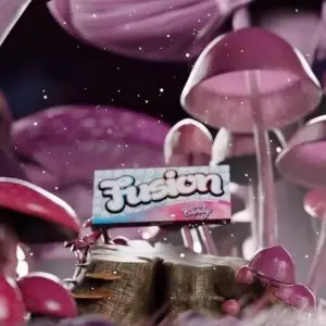 fusion shrooms